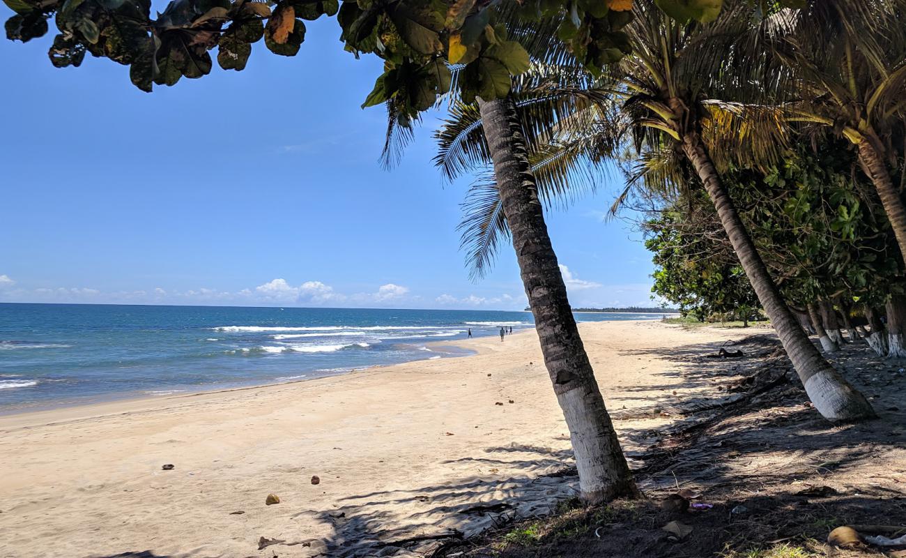 Photo de Tours région SAVA